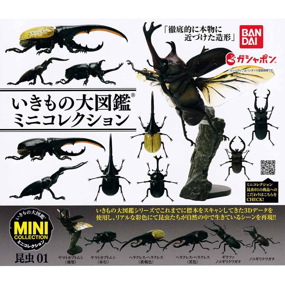 Creatures Encyclopedia Mini Collection Insect 01 
