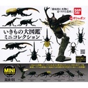 Creatures Encyclopedia Mini Collection Insect 01