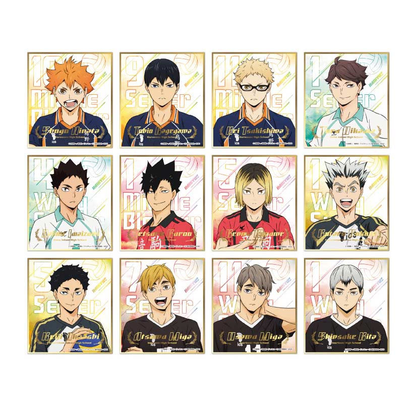 (PO) Haikyu!! Visual Shikishi Collection 7 [BOX]