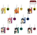 (PO) Chainsaw Man Acrymmetry [BOX]