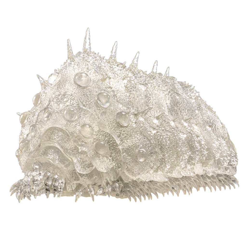 Takeyashiki Jizaiokimono Nausicaä of the Valley of the Wind - Ohmu (Small) Clear Ver.