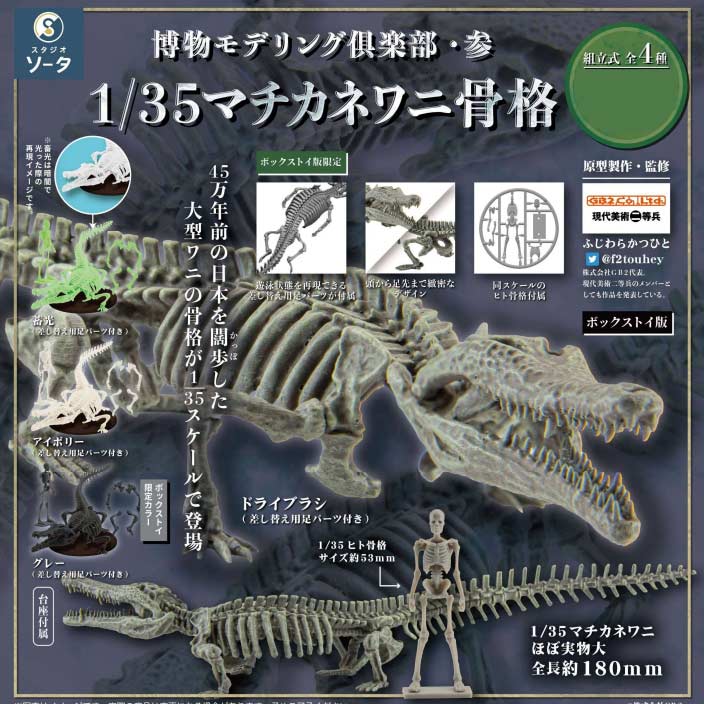 (PO) Natural History Modeling Club 3 1/35 Toyotamaphimeia Machikanensis Skeleton [BOX]