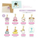 Sanrio Characters Trading Metal Charm [BOX]