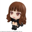 (PO) Look Up Series Harry Potter - Hermione Granger