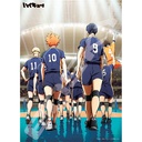 (PO) Haikyu! 500 pcs Jigsaw Puzzle 500-543 Start Game!