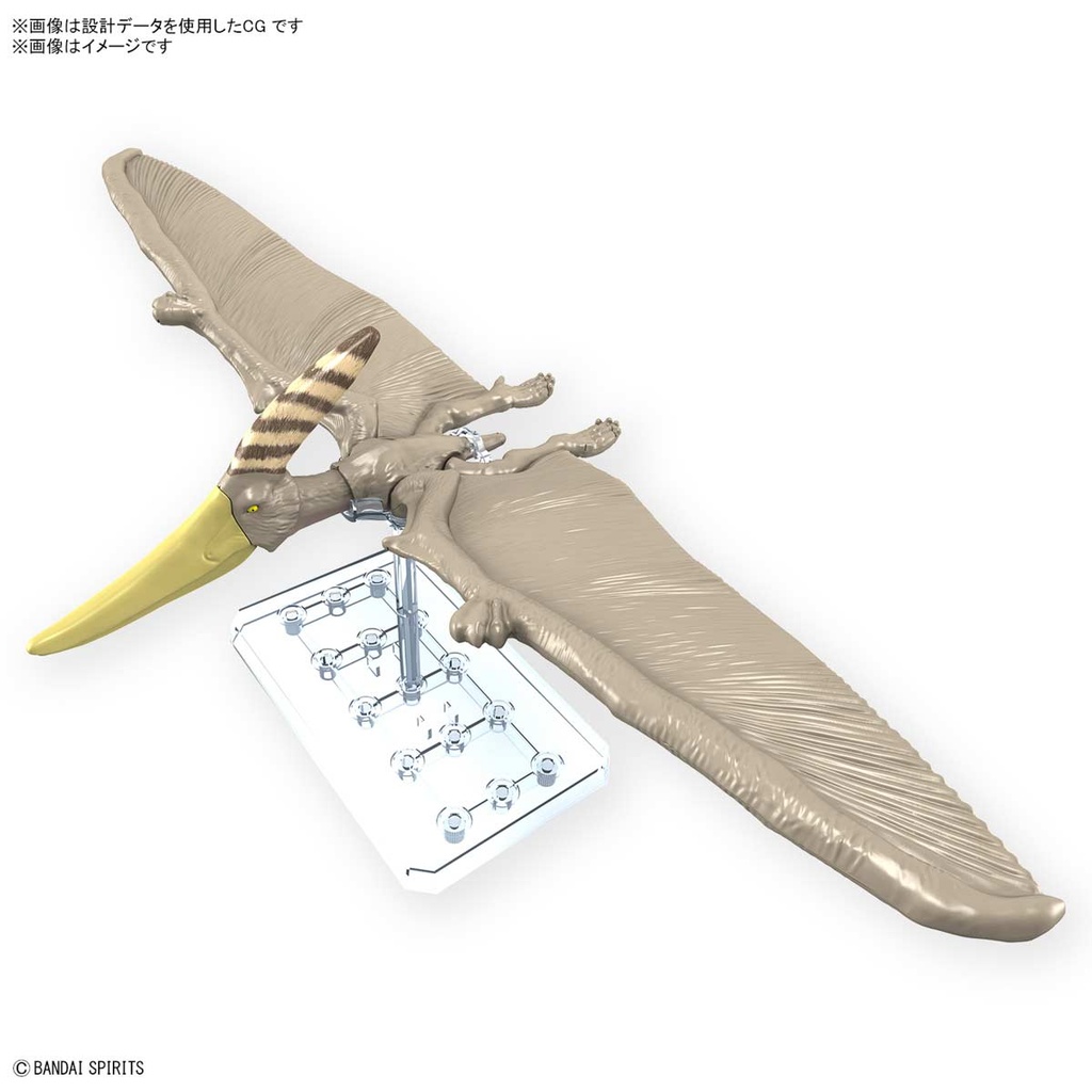 (PO) PLANNOSAURUS Pteranodon