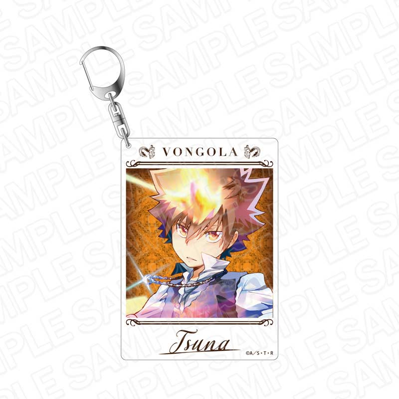 Reborn! Instant Photo Style Key Chain Pale Tone Series Varia Arc Ver. Sawada Tsunayoshi