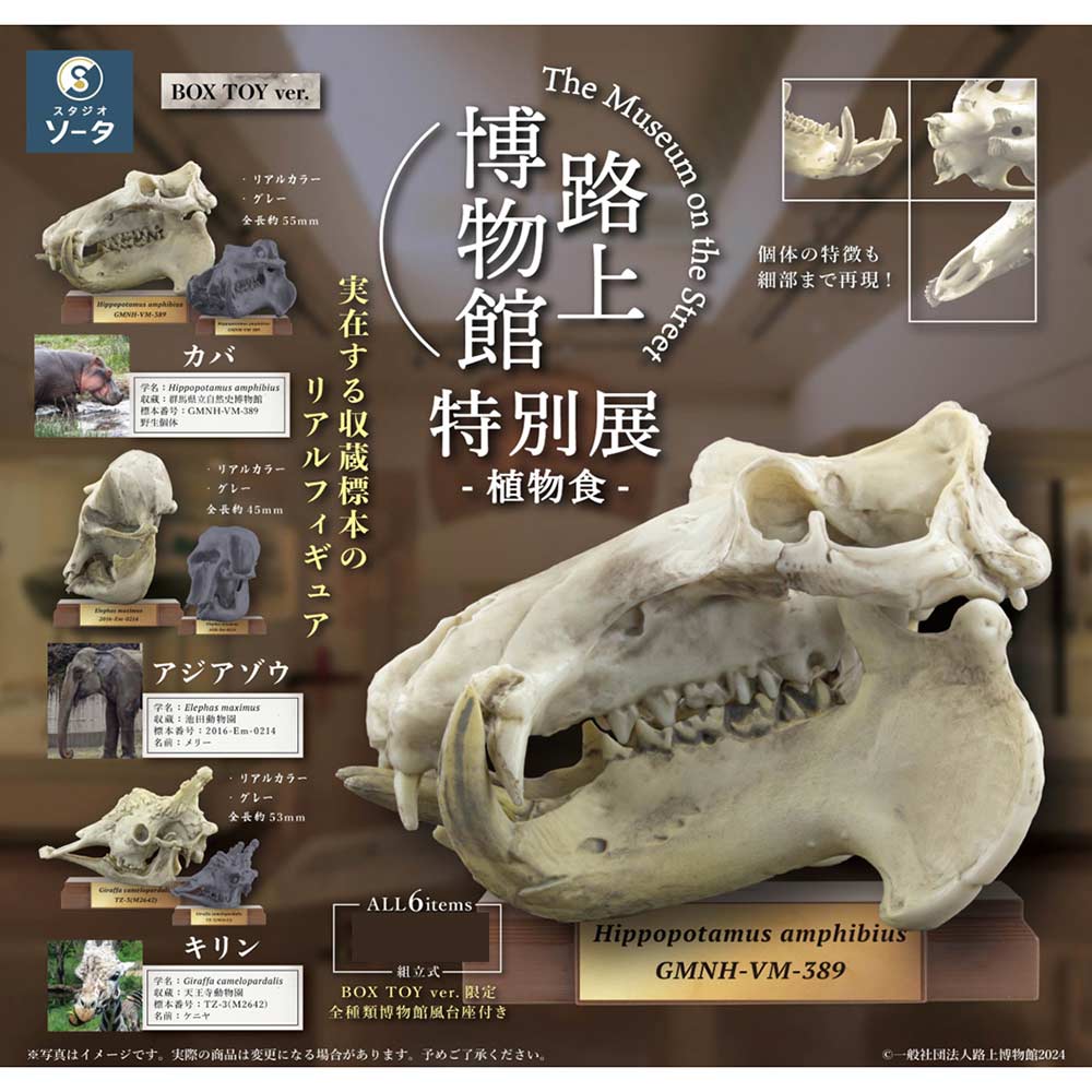(PO) The Museum on the Street Special Exhibition Herbivorous [BOX]