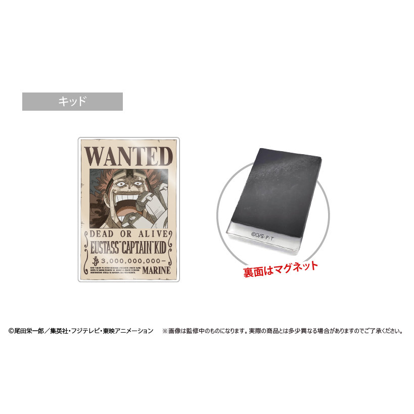(PO) One Piece Acrylic Wanted Poster Magnet Vol. 3 Kid