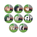 (PO) Jujutsu Kaisen Trading Chibikoro Matte Can Badge [BOX]