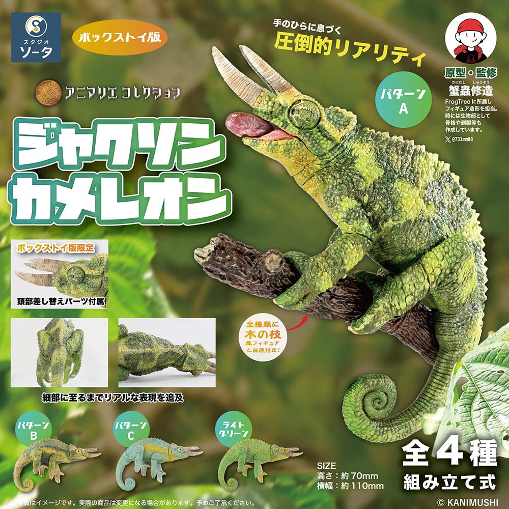 Animalier Collection Chamaeleo Jacksonii [BOX]