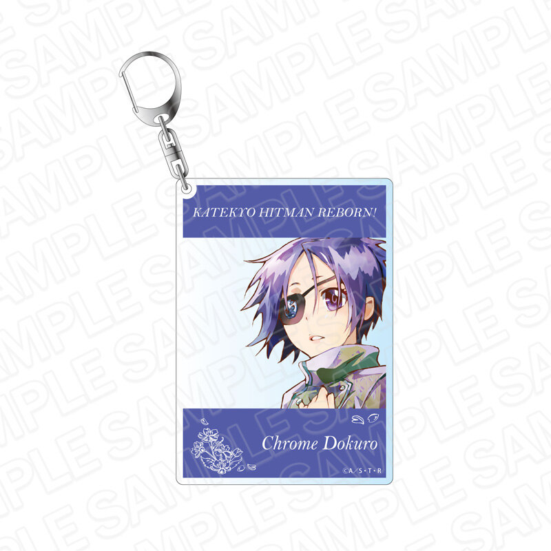 (PO) Reborn! Instant Photo Style Key Chain Pale Tone Series Chrome Dokuro Spring Ver.
