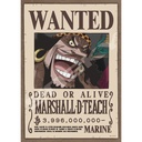(PO) One Piece Jigsaw Puzzle 208 Piece 208-149 Four Emperors Blackbeard Teach
