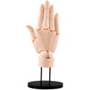 (PO) Artist Support Item Hand Model/R -Pale Orange-