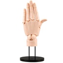 (PO) Artist Support Item Hand Model/L -Pale Orange-