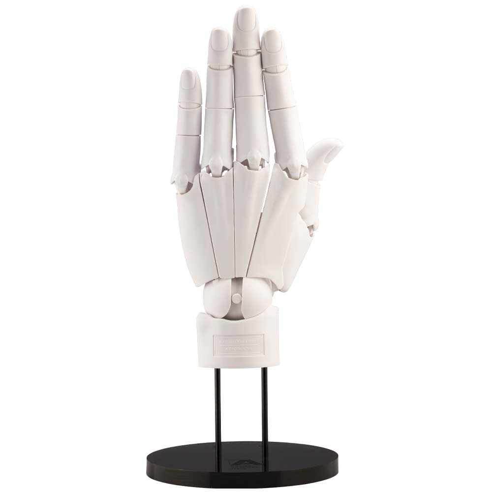 (PO) Artist Support Item Hand Model/L -White-