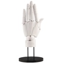 (PO) Artist Support Item Hand Model/L -White-
