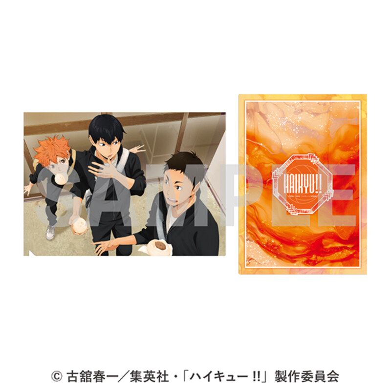 (PO) Haikyu!! Clear File 3 Karasuno High School 3