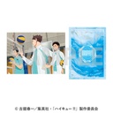 (PO) Haikyu!! Clear File 5 Aoba Johsai High School 2