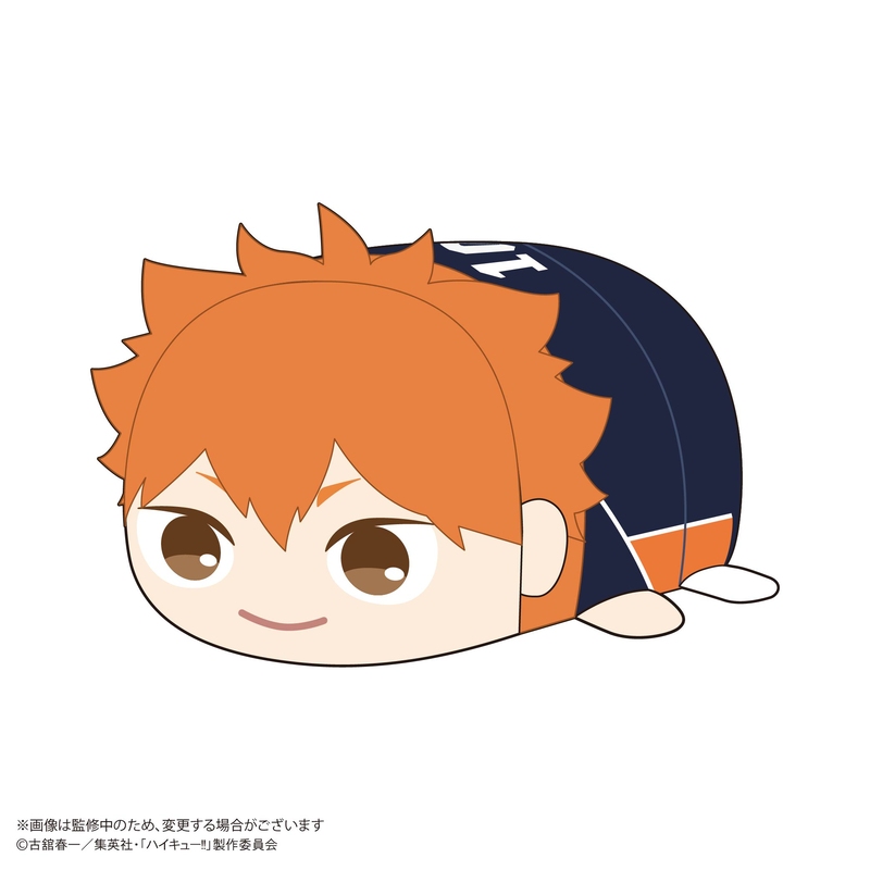 (PO) HQ-75 Haikyu!! Potekoro Mascot Big A Hinata Shoyo