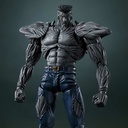 (PO) S.H.Figuarts YuYu Hakusho - Younger Toguro 100%