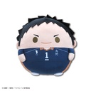 (PO) HQ-85 Haikyu!! Fuwakororin Big 3 A Sawamura Daichi (Re-issue)