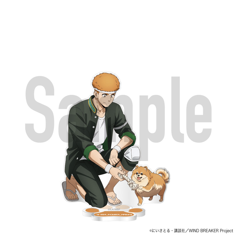 (PO) Wind Breaker Acrylic Stand Original Illustration Ver. Tsugeura