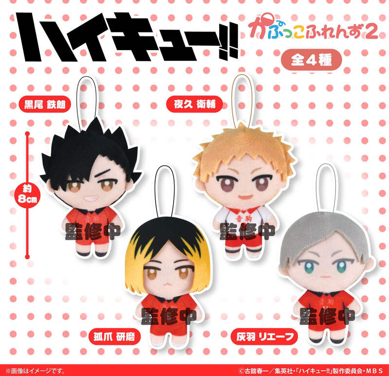 Haikyu!! Kapukko Friends 2