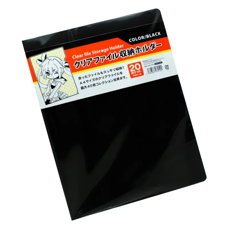 Coade Clear File Storage Holder (Black)