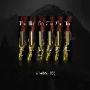 Dspiae Brass Rods 0.5mm (8pcs)