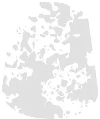 Citadel Texture Paint - Valhallan Blizzard