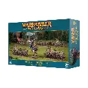 Warhammer Old World Battalion: Beastmen Brayherds
