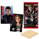 (PO) High&Low 10th Anniversary Wafer Card [BOX]