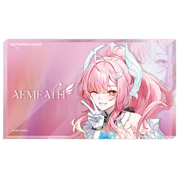 (KG) Wuthering Waves Resonator Themed Avatar Acrylic Block Aemeath