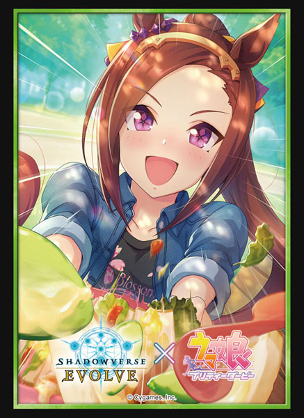 (SA) Shadowverse Evolve Official Sleeve Vol.48 Shadowverse Evolve [Sakura Bakushin O]