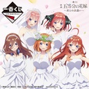 Ichiban Kuji - The Quintessential Quintuplets - Encounter with You (Full ctn of 66 tickets)