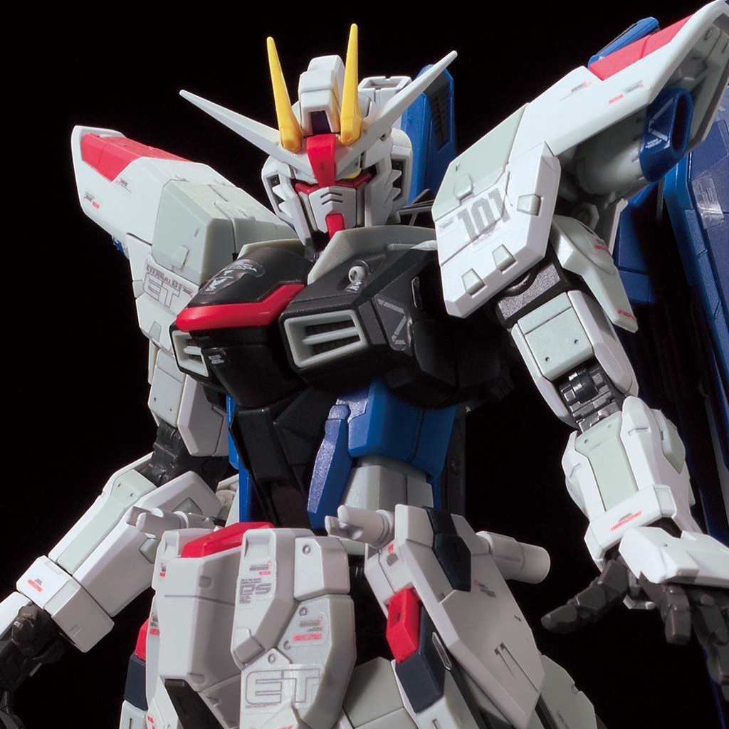 RG 1/144 The Gundam Base Limited ZGMF-X10A Freedom Gundam Ver.GCP (P Bandai)