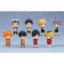 (PO) Nendoroid Surprise Haikyu!! Nationals Arc (Re-issue) [BOX]