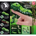 The Diversity of Life on Earth - Swallowtail Caterpillar