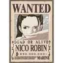 (PO) One Piece Jigsaw Puzzle 208 Piece 208-140 Archaeologist Devil Child Nico Robin