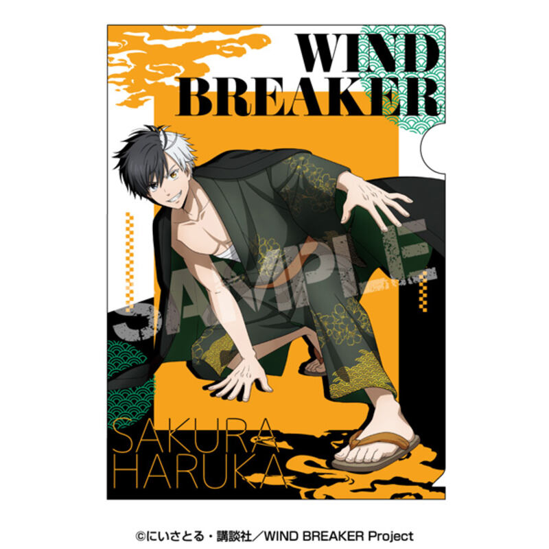 (PO) Wind Breaker Clear File 1 Sakura Haruka
