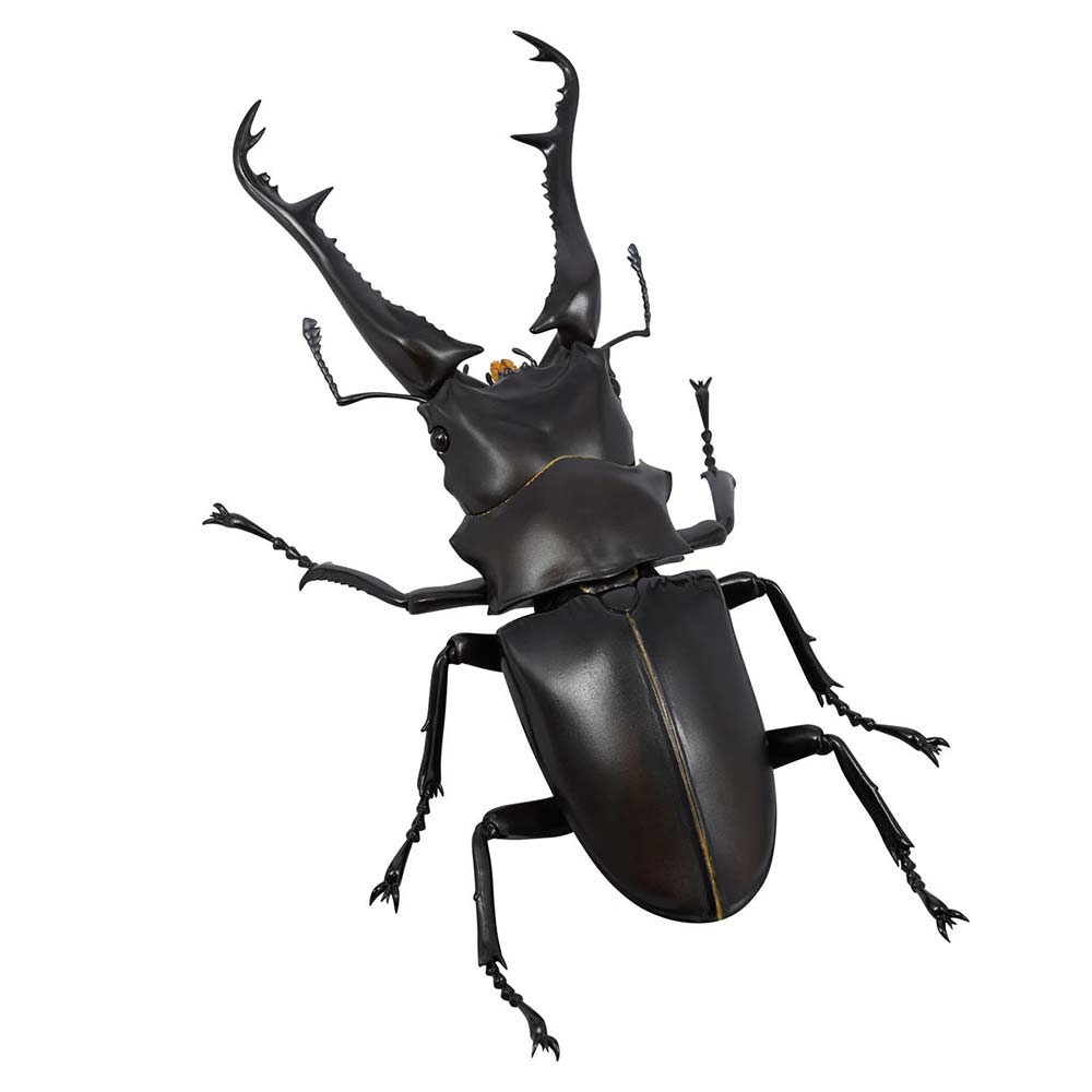 (PO) REVO GEO Prosopocoilus Giraffa - Giraffe Stag Beetle