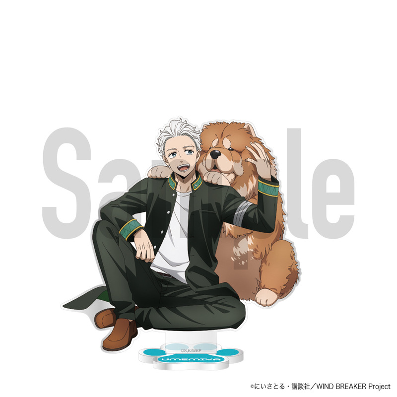 (PO) Wind Breaker Acrylic Stand Original Illustration Ver. Umemiya